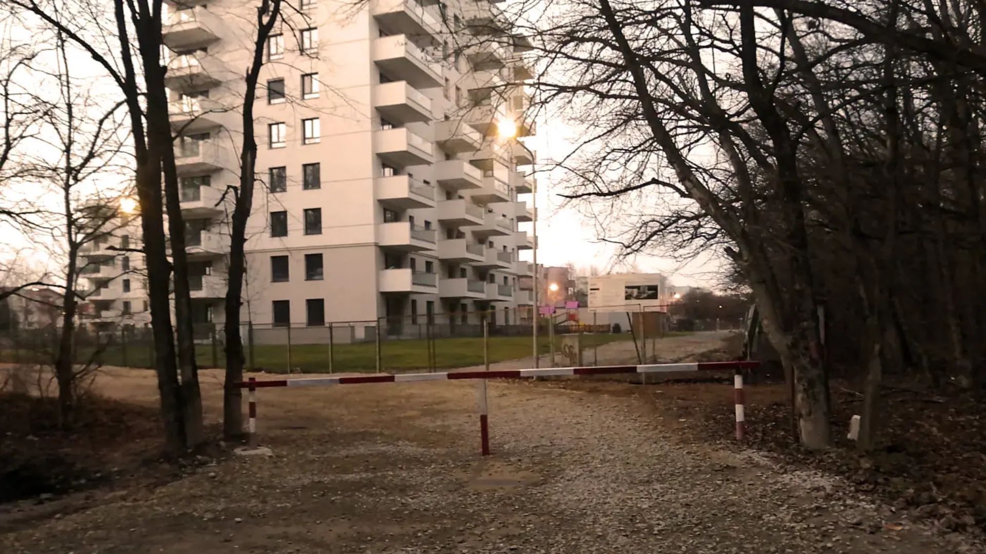2452452.jpg