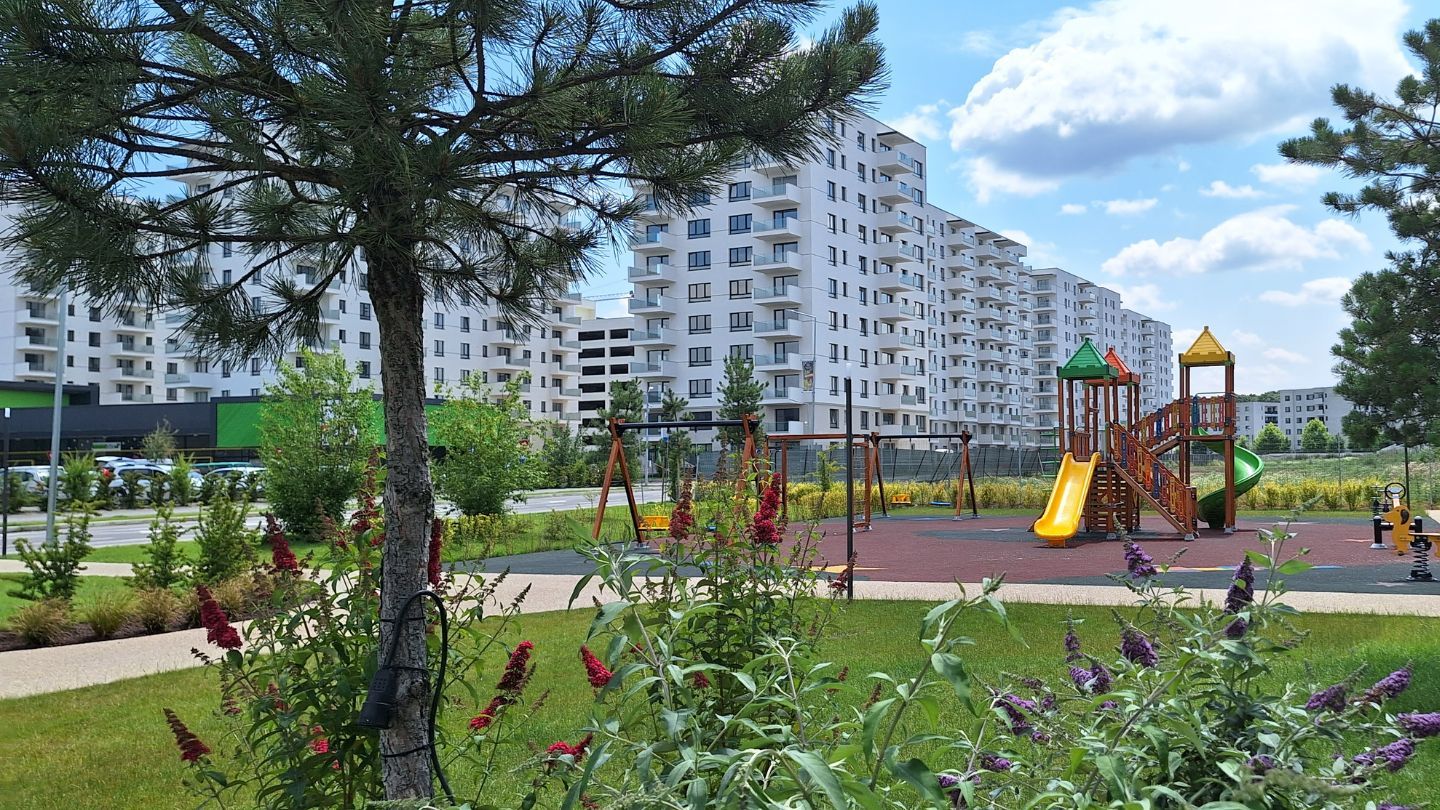 imp988877.jpg