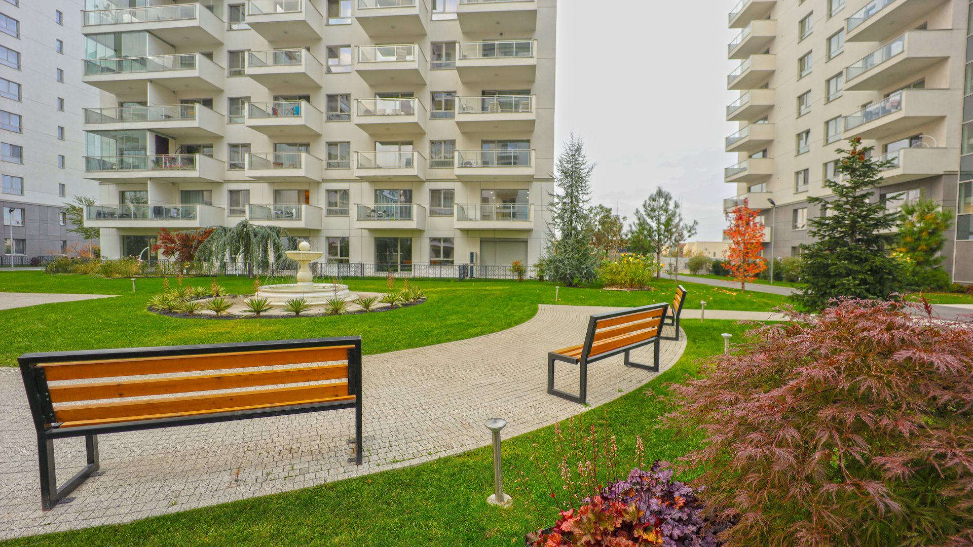 Impact Developer & Contractor investește 500.000 de euro în spațiile verzi.png